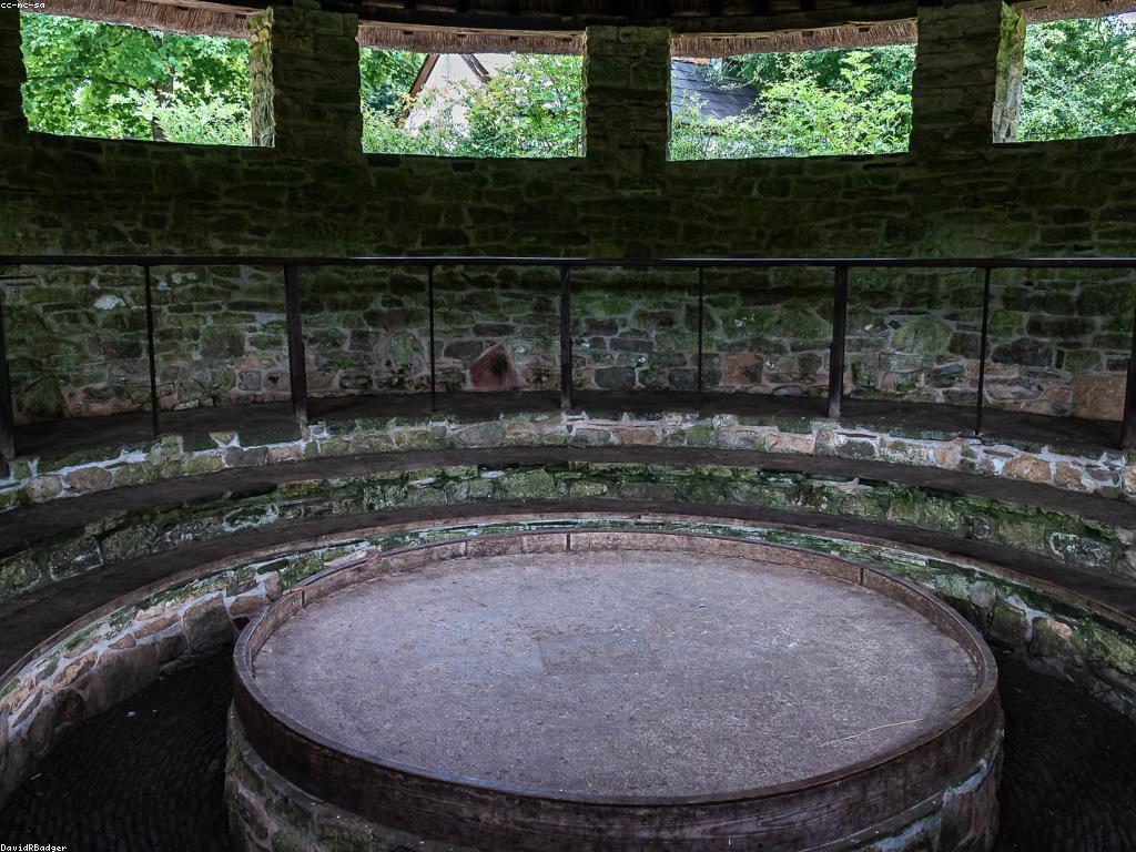 កាស៊ីណូDV: ការបណ្តុះបណ្តាល និងអត្ថប្រយោជន៍